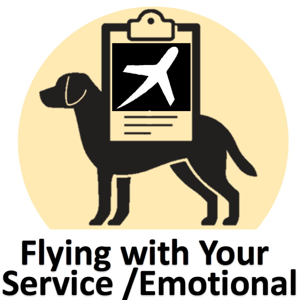 Flying with Service Animal Emotional Support Animal Therapy Dog Airline Policy Pet