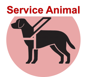 Service Animal Service Dog