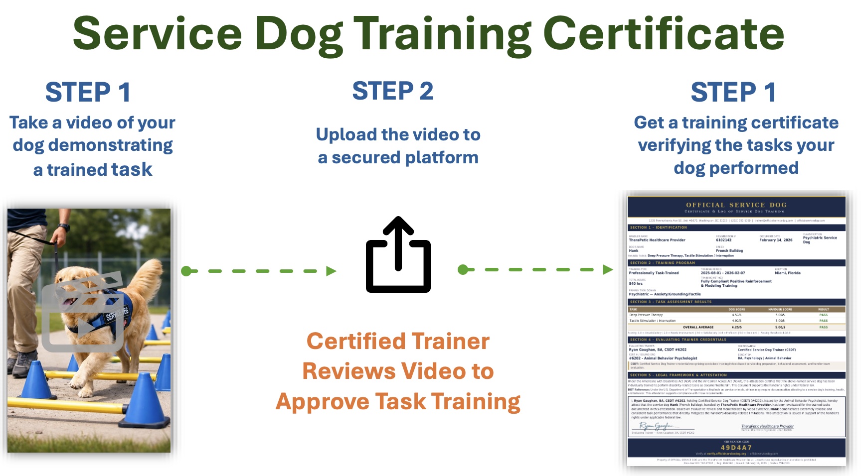 Service Dog Training Plus — certified trainer reviews video of your dog performing tasks